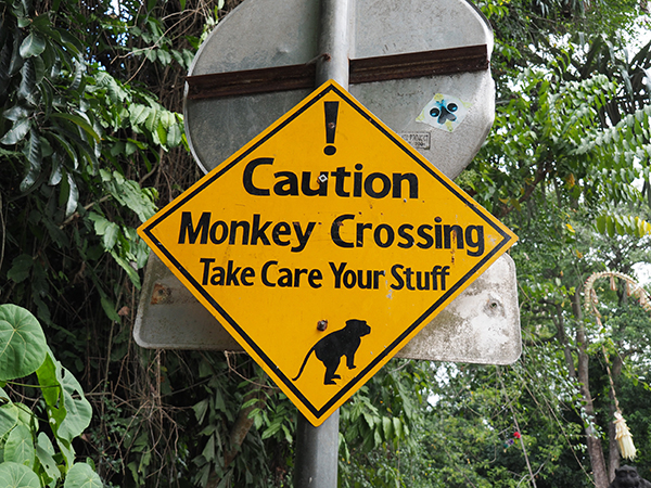 Cartell advertint-nos del perill que poden causar els micos.